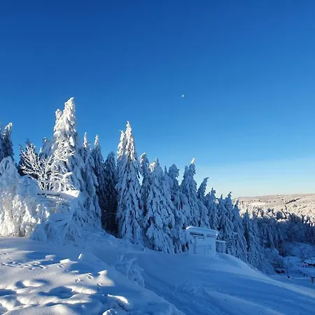 Haus Schneider Winterberg