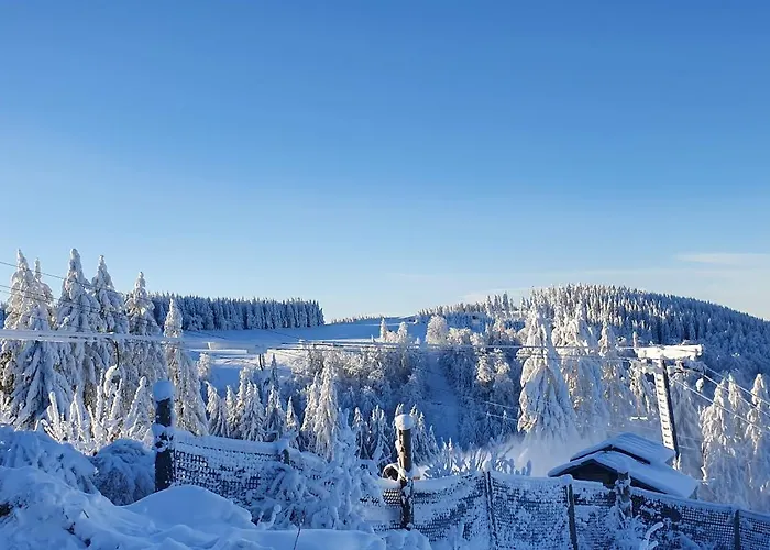 Apartment Haus Schneider *