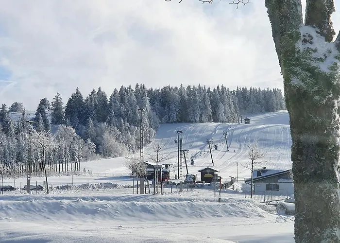 Haus Schneider Apartment Winterberg