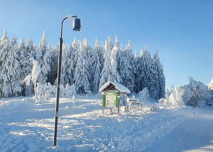 Lägenhet Haus Schneider Winterberg