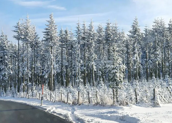 Apartment Haus Schneider